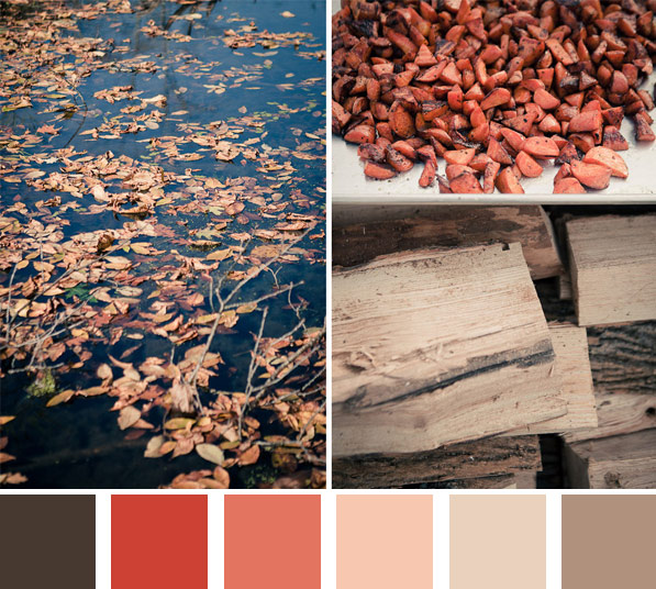 Fall is coming color board