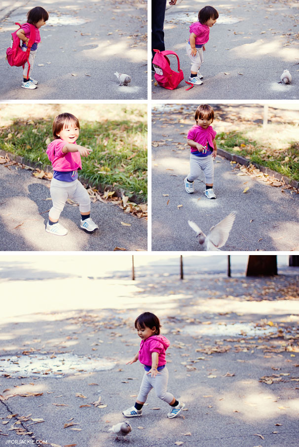 Julienne chasing birds at the park
