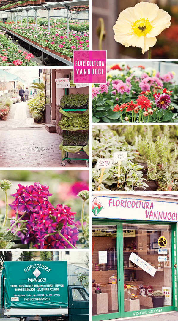 Floricoltura Vannucci - Buy plants & flowers in Florence
